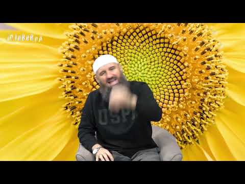 Odgovori na ramazanska pitanja 6.dio_mr. Elvedin Pezić