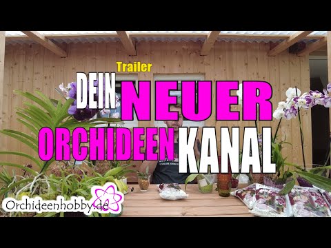 , title : 'Dein Orchideen Youtube Kanal - www.Orchideenhobby.de'