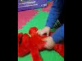 Baby And Tickle Me Elmo