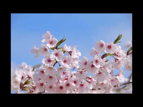 オリジナル曲を一から作曲・編曲・MIXします 音楽知識を活かして、あなたのイメージを1曲にします
