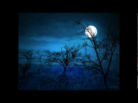 Yankowsky - Midnight Traveler [PHZLV014]