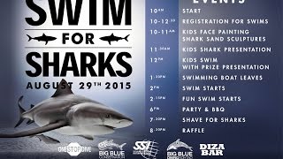 Big Blue Diving. Swim For Sharks 2015