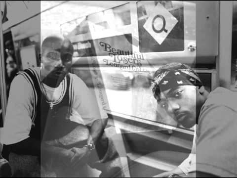 PERDANTS MAGNIFIQUES