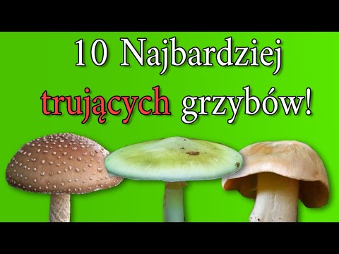 10 Most Poisonous Mushrooms - Avoid Them!