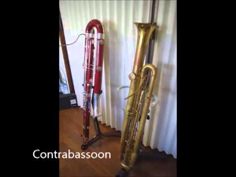 Thumbnail for Contrabassoon and Sarrusophone by Sarrusophone