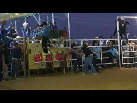 Manicomio con ternera de la Cruz en Ferris texas.