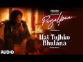 Hai Tujhko Bhulana Audio Vishal Mishra PAGALPAN