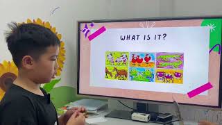 Video
