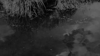 Karl S. Williams - O Death