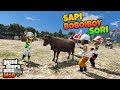 GTA 5 MOD BOBOIBOY KUASA SORI SENANG DIBELIKAN SAPI SAMA BOBOIBOY DURI DAN SOLAR