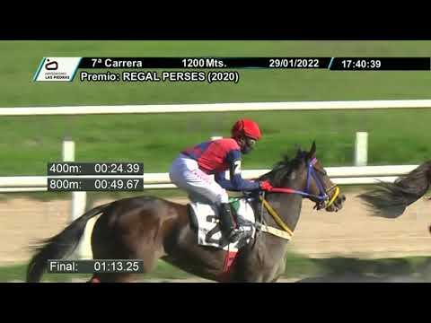 220129 c07 - PERLA DEL SABA - HIPODROMO LAS PIEDRAS