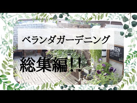 連続バルコニーレイアウトアイデア2022