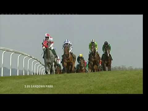 2010 Bet365 Gold Cup