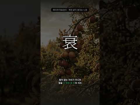 정점을 지난 것 같은 날들 | 쇠