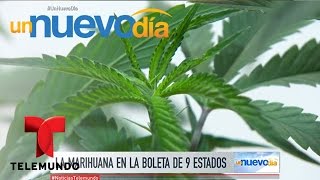 En 9 estados se vota la legalización de la marihuana