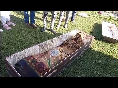 corpse. after eight years in the vault. (exhumation)