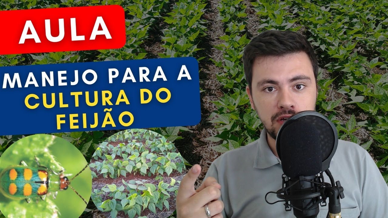 Aula - Manejo para a cultura do FEIJÃO