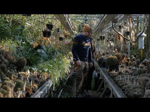 Zuidas Botanische Tuin Tour: Part 1 - Plant One On Me — Ep 083