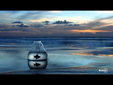 Everlasting _Kate Lesing VS Richard D [V.1]  --  Full HD 2012