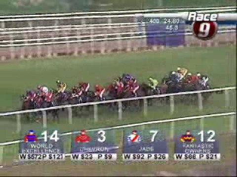 COMMITTEE'S PRIZE 21/09/08 - CHEVRON