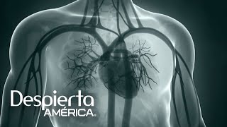 Ese dolor en el pecho, ¿debe preocuparte Cuándo hay que correr al hospital | Dr. Juan