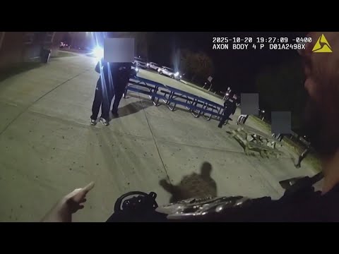 AI gun detector mistakes bag of chips for weapon at school