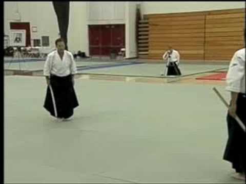 Christian Tissier Shihan Aikido Demonstration