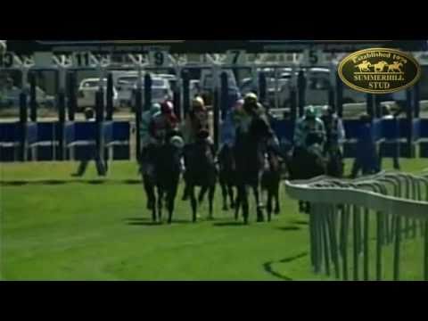 GRAIL MAIDEN (AUS) : UK SOCCER 6 OPEN FM 88 HANDICAP