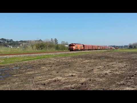 Cimento em Regueira de Pontes