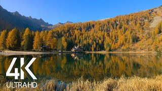 8 HOURS Tranquil Birdsong on Calm Fall Lake - Nature Soundscapes 4K Video