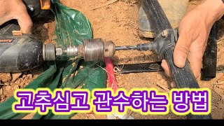 고추심고 관수(관주)하기~