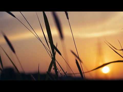 Adare Suwada Ma(ආදරේ සුවඳ මා) - Indrajith Dolamulla- slowed and reverb