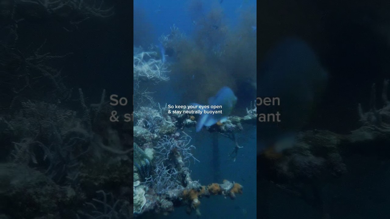 YouTube Short thumbnail