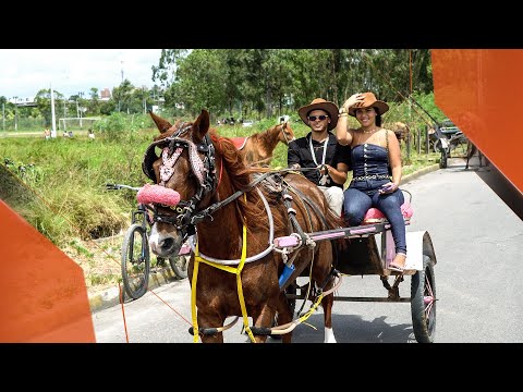 MC PINHO - CAVALO DE RICO - CLIPE OFICIAL