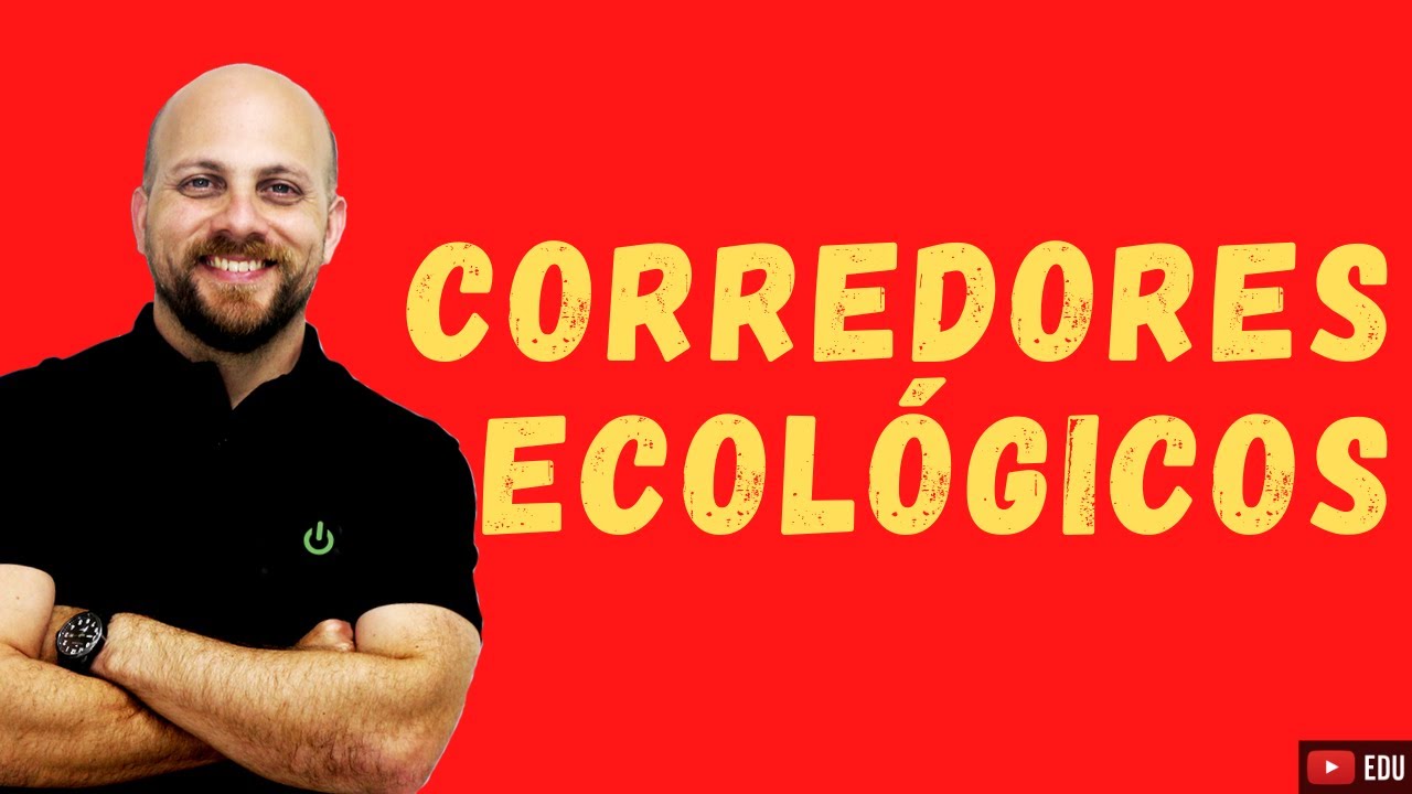 ECOLOGIAI O QUE SÃO CORREDORES ECOLÓGICOS