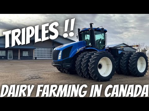 Our New 4WD Showed Up!