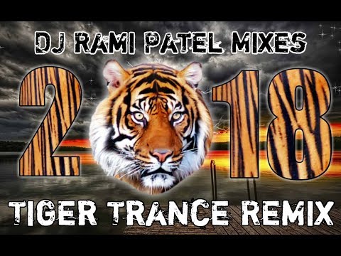 download lagu mp3 mp4 Tiger Trance, download lagu Tiger Trance gratis, unduh video klip Tiger Trance