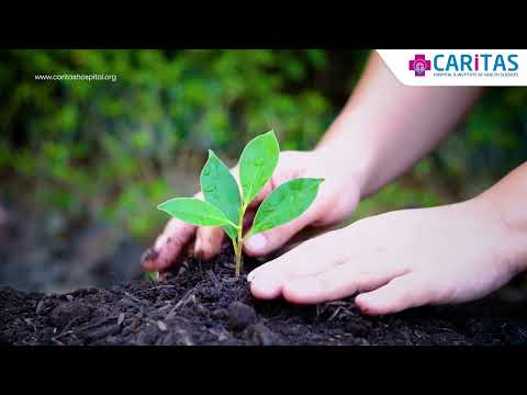 World Environment Day 2025