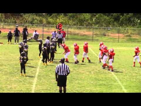 9U GA Elite Warhawks vs. 9U North Henry Tigers