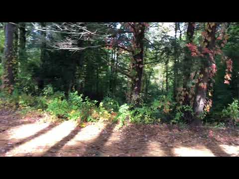 South Natick Dam Park