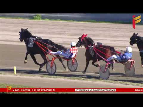 V Corsa del 25 marzo 2023 - 5 Anni ed oltre - Metri 1600 - Gara centrale