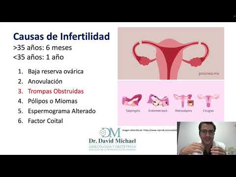 David Michael García Villarreal-4