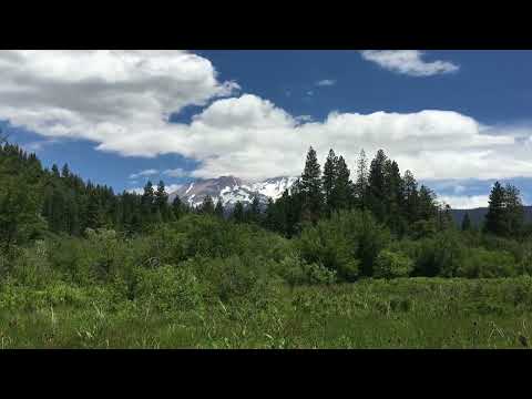 Beautiful Mount Shasta #mountshasta #mtshasta #sacredmountain #mountshastaspiritualtours