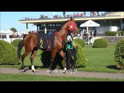 Gon. VI - 22.09.2019 - Reem Al Khalediah (Nayef Al Khalidiah -   Aghareed Al Khalediah)