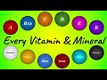 Every Vitamin & Mineral the Body Needs (Micronutrients Explained)