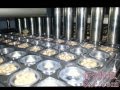 CFD 20 DOUBLE COLOR CHOCOLATE WITH BISCUIT Filling Sealing Machine