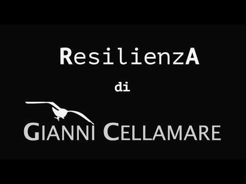 ResilienzA 2017