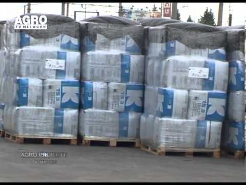 REPORTAJ VIDEO - Legumicultori