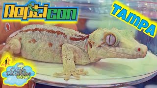 Repticon Tampa 2023 most beautiful and awesome Rep