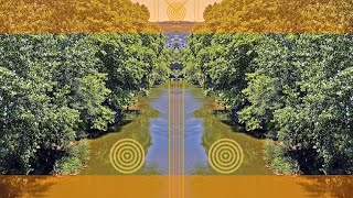 Los Lobos - Just A Man